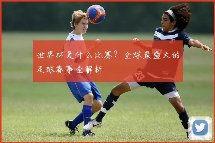 世界杯是什么比赛?全球最盛大的足球赛事全解析