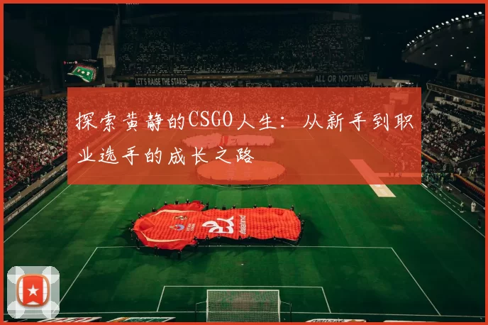 探索黄静的CSGO人生：从新手到职业选手的成长之路
