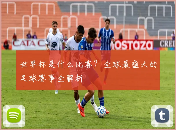 世界杯是什么比赛?全球最盛大的足球赛事全解析