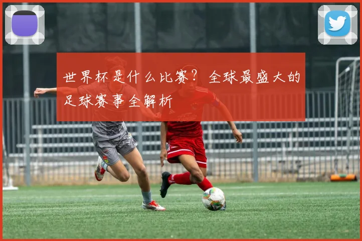 世界杯是什么比赛?全球最盛大的足球赛事全解析