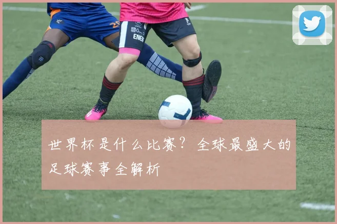 世界杯是什么比赛?全球最盛大的足球赛事全解析
