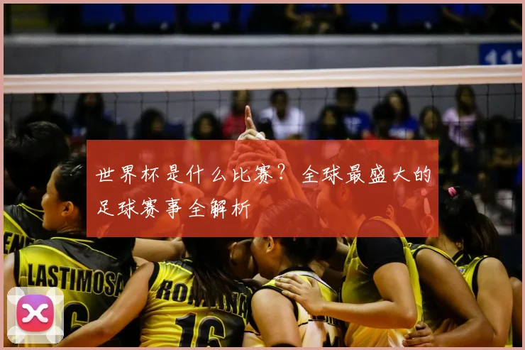 世界杯是什么比赛?全球最盛大的足球赛事全解析