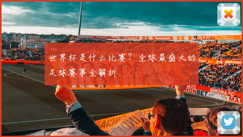 世界杯是什么比赛?全球最盛大的足球赛事全解析