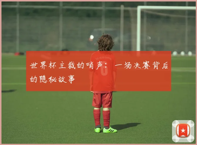 世界杯主裁的哨声：一场决赛背后的隐秘故事