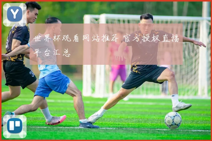 世界杯观看网站推荐 官方授权直播平台汇总