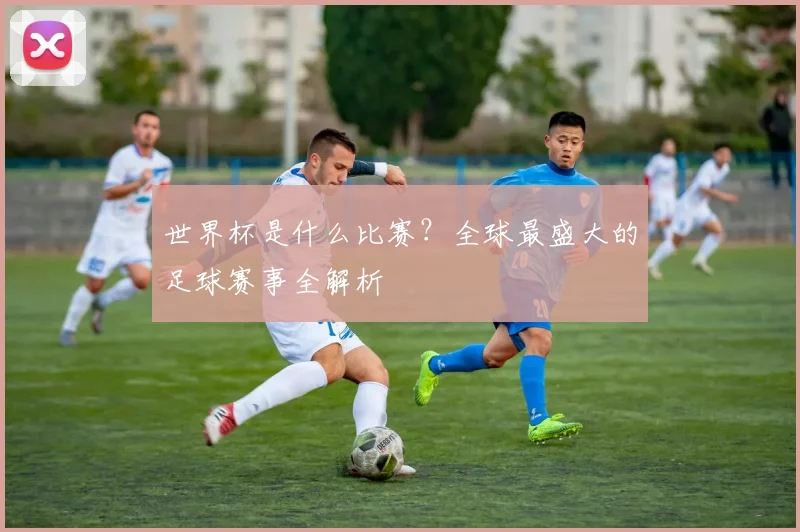 世界杯是什么比赛?全球最盛大的足球赛事全解析