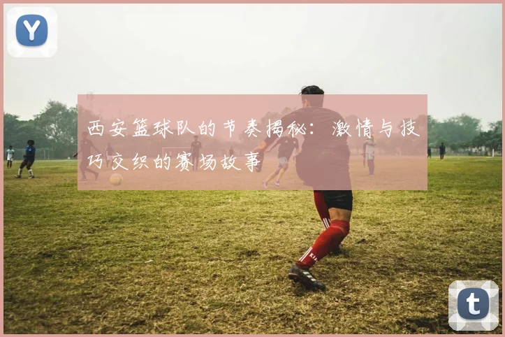 西安篮球队的节奏揭秘:激情与技巧交织的赛场故事