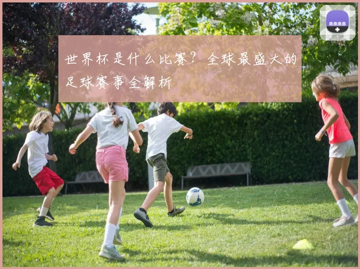 世界杯是什么比赛?全球最盛大的足球赛事全解析