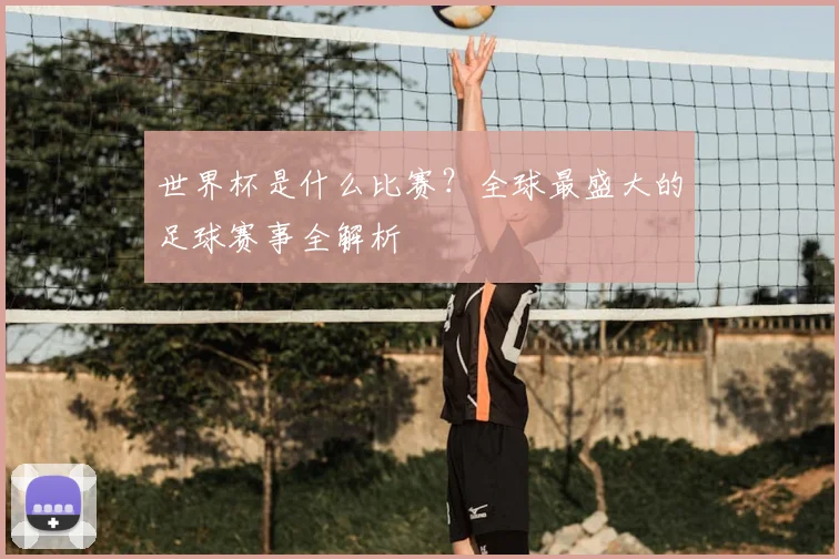世界杯是什么比赛?全球最盛大的足球赛事全解析