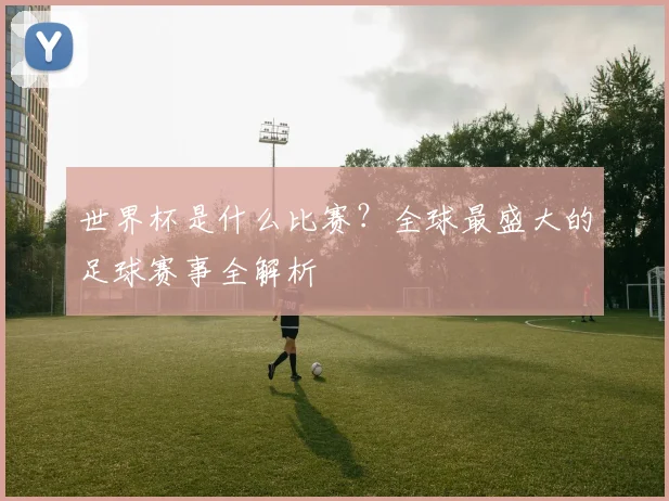 世界杯是什么比赛？全球最盛大的足球赛事全解析