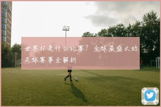 世界杯是什么比赛？全球最盛大的足球赛事全解析