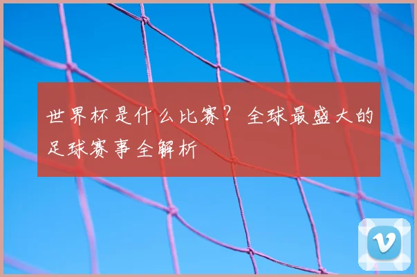 世界杯是什么比赛?全球最盛大的足球赛事全解析