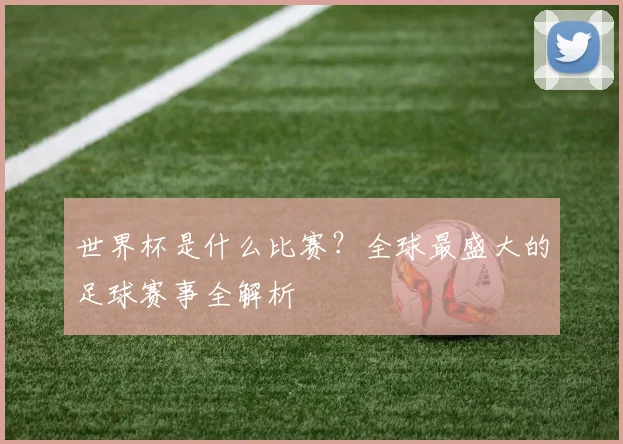世界杯是什么比赛?全球最盛大的足球赛事全解析