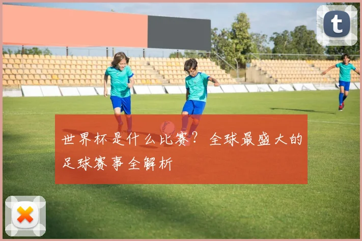 世界杯是什么比赛？全球最盛大的足球赛事全解析