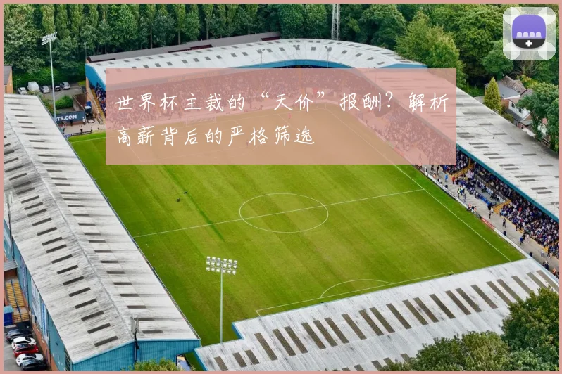 世界杯主裁的“天价”报酬?解析高薪背后的严格筛选