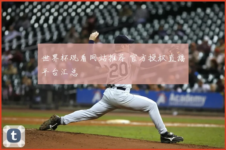 世界杯观看网站推荐 官方授权直播平台汇总