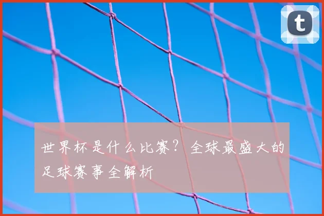 世界杯是什么比赛?全球最盛大的足球赛事全解析