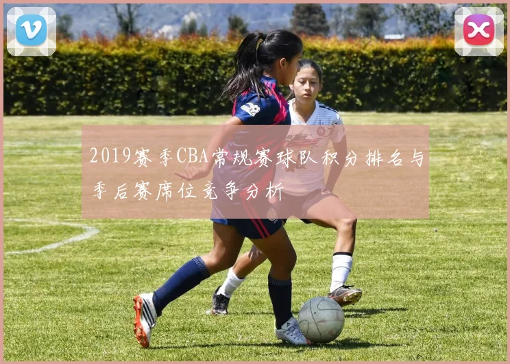 2019赛季CBA常规赛球队积分排名与季后赛席位竞争分析