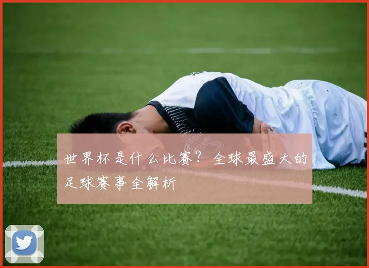 世界杯是什么比赛？全球最盛大的足球赛事全解析