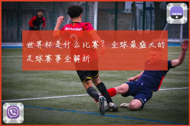 世界杯是什么比赛？全球最盛大的足球赛事全解析