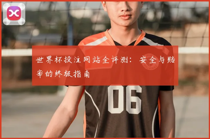世界杯投注网站全评测:安全与赔率的终极指南
