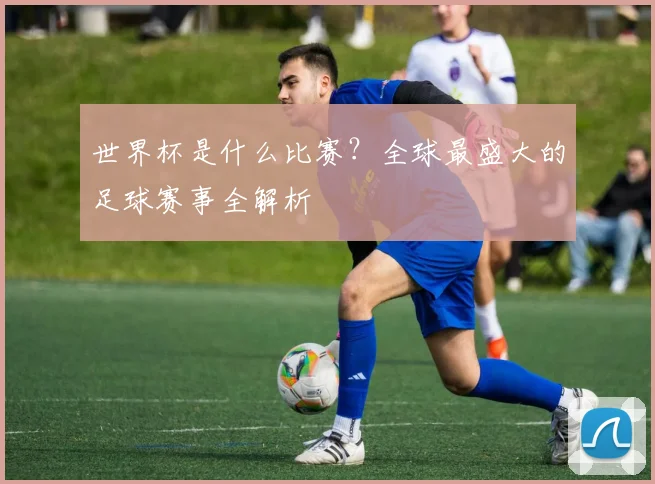 世界杯是什么比赛?全球最盛大的足球赛事全解析