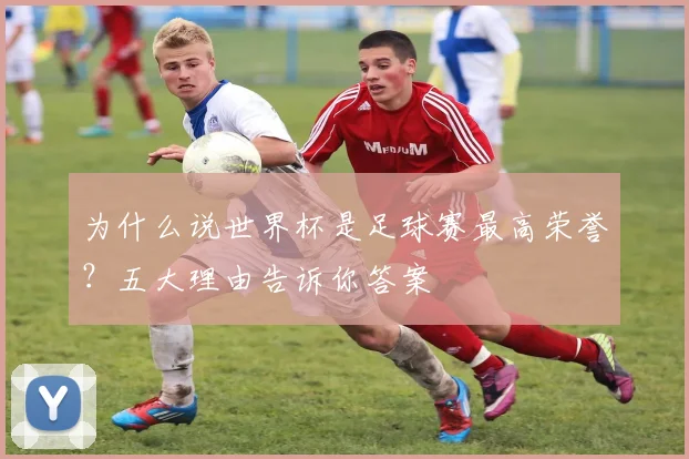 为什么说世界杯是足球赛最高荣誉?五大理由告诉你答案