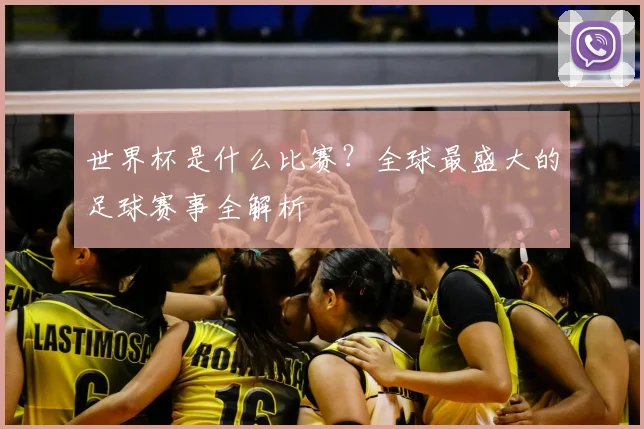 世界杯是什么比赛?全球最盛大的足球赛事全解析
