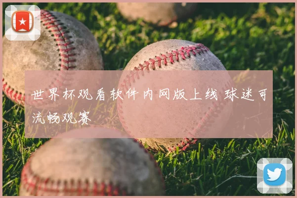 世界杯观看软件内网版上线 球迷可流畅观赛