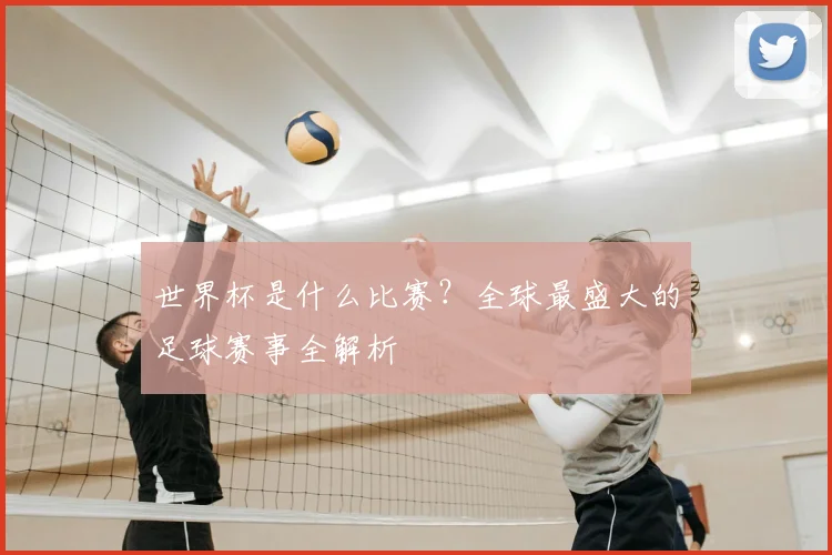 世界杯是什么比赛？全球最盛大的足球赛事全解析