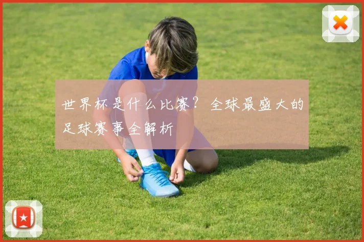 世界杯是什么比赛?全球最盛大的足球赛事全解析