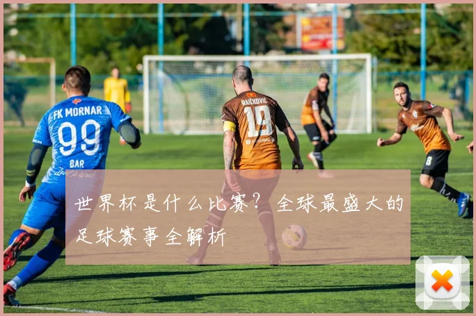 世界杯是什么比赛?全球最盛大的足球赛事全解析