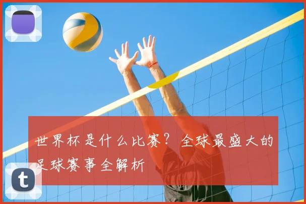 世界杯是什么比赛?全球最盛大的足球赛事全解析