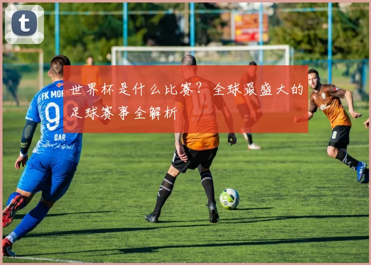 世界杯是什么比赛?全球最盛大的足球赛事全解析