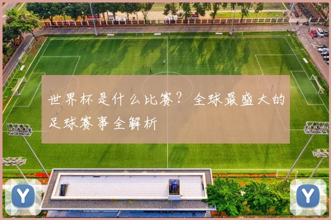 世界杯是什么比赛?全球最盛大的足球赛事全解析