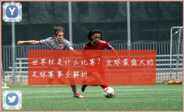 世界杯是什么比赛?全球最盛大的足球赛事全解析