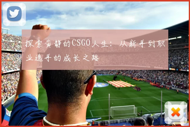 探索黄静的CSGO人生：从新手到职业选手的成长之路