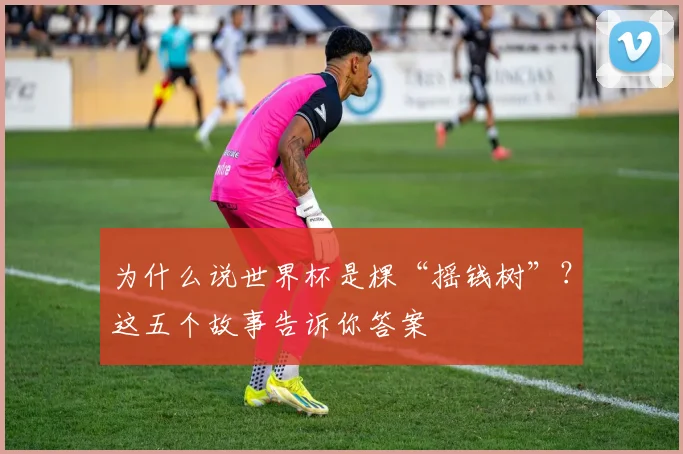 为什么说世界杯是棵“摇钱树”？这五个故事告诉你答案