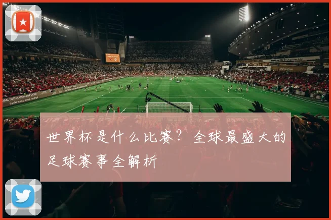 世界杯是什么比赛?全球最盛大的足球赛事全解析