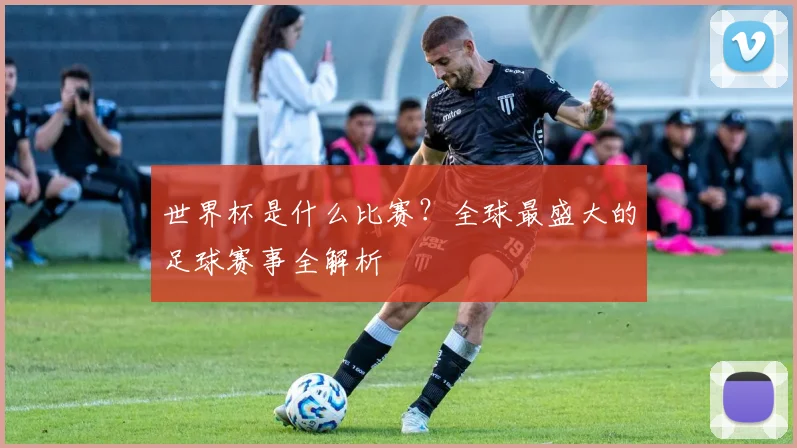 世界杯是什么比赛?全球最盛大的足球赛事全解析